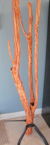 Tree Branch Coat Tree
